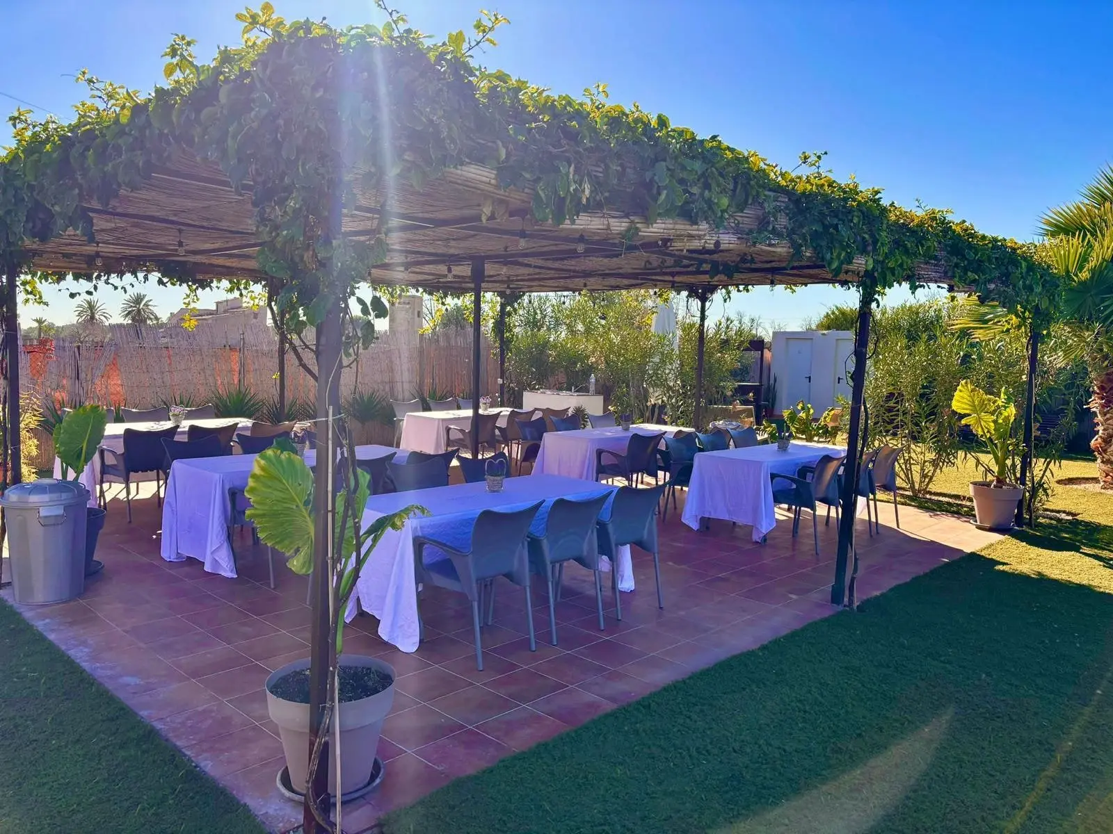 Una pérgola cubierta de parra sobre mesas largas con mantel azul, sillas y un suelo de baldosa terracota